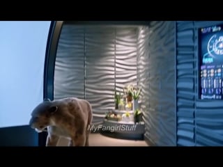 Sara lance / ava sharpe