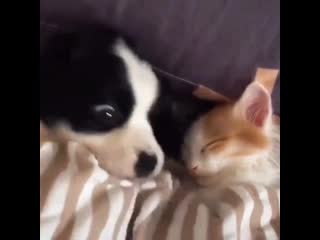 Minhyuk and changkyun [minkyunsbebe]