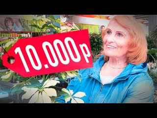 На что потратит бабушка 10 000 рублей? айдэн