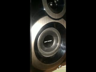 Nestez нулевые (сниппет)