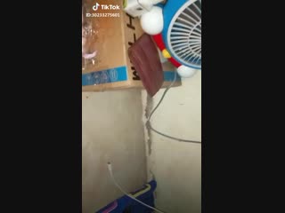 Empty wallet, full wallet