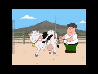 Гриффины корова любит бдсм