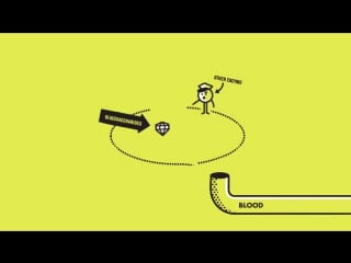 How a bean makes you fart / turns out the magical fruit really does make you toot