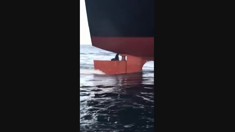 Хорошо катаемся