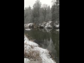 Vid 20201125 122344 mp4