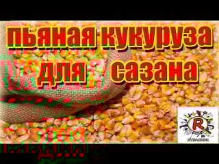 Пьяная кукуруза