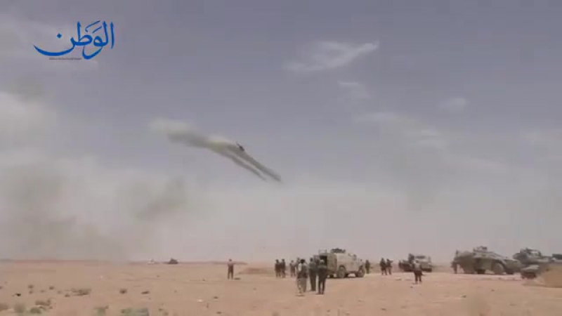 Возле пальмиры