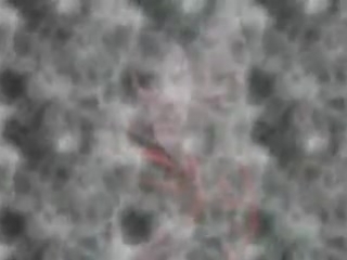 Sasha bognibov in 2 days