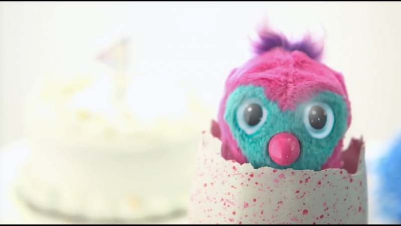 Hatchimals birthday party!