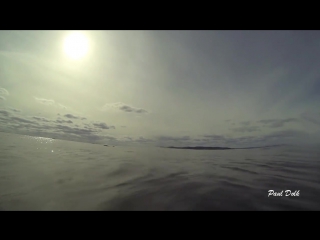 Drone and underwater footage of atlantic white sided dolphins