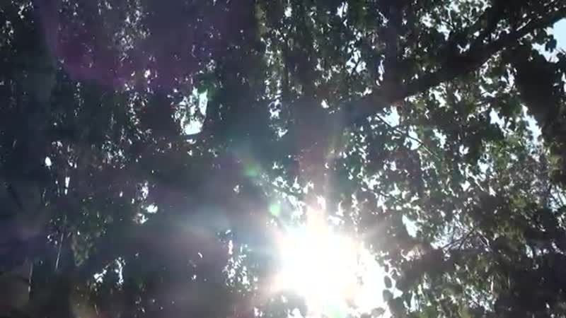 15 русичи могучие