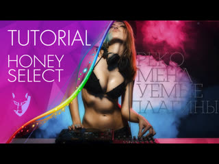 Рекомендуемые плагины для honey select