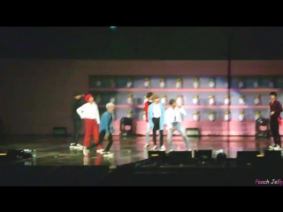 Fancam | 180113 | bts 4th muster "happy ever after"