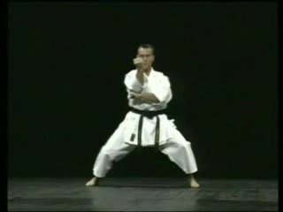 Karate kata dynamique vol 2 michael millon