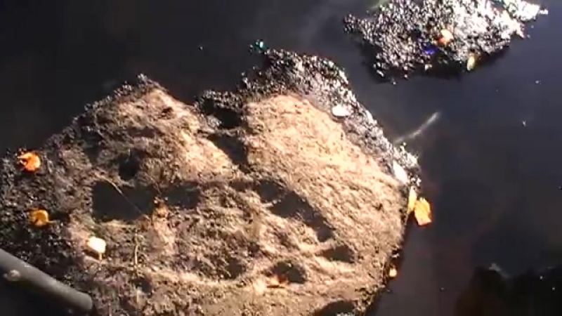 Карельский артефакт след в камне, обнаружен в сентябре 2013 (1)