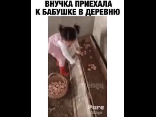 Видео от это фиаско братан gif video mem