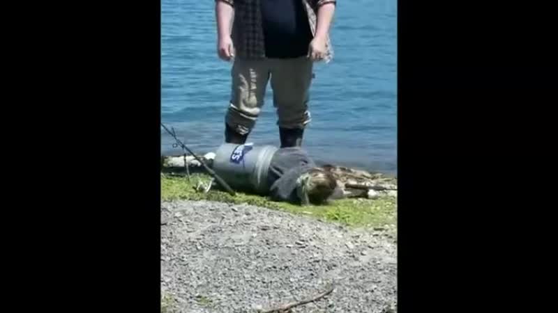 Откуда берутся молодые