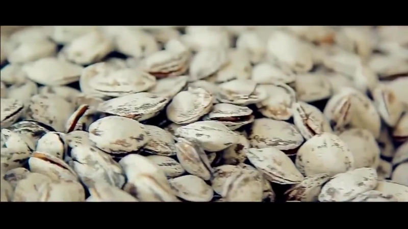 Sahro guruhi hello uzbekistan (official hd video)