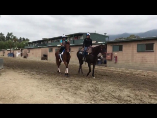 Walter, lady eli and cherie devaux head to the track