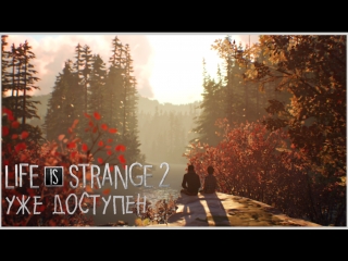 Life is strange 2 премьерный трейлер