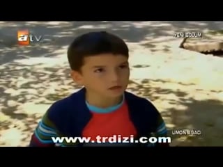 Limon ağacı 5 bölüm (tek parça)