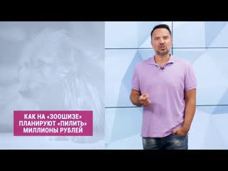 Как на «зоошизе» планируют «пилить» миллионы рублей (руслан осташко)