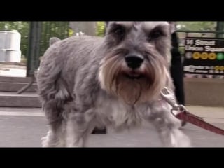 Impractical jokers s03e00 deleted scenes