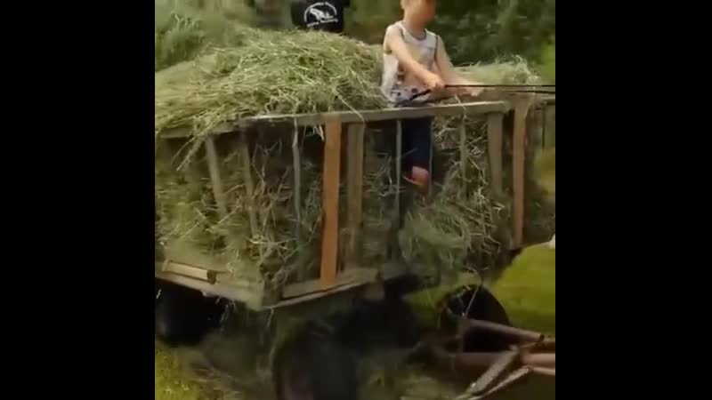 Неплохой прибор ytgkj[jq ghb,jh