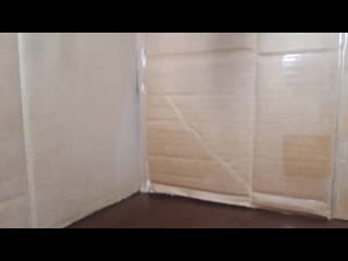 Mystique's misfortune mp4