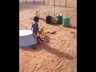 (تعضّني أعضّك) ماعنده تفاهم the no nonsense african boy video from @aboum ( 937 x 750 ) mp4