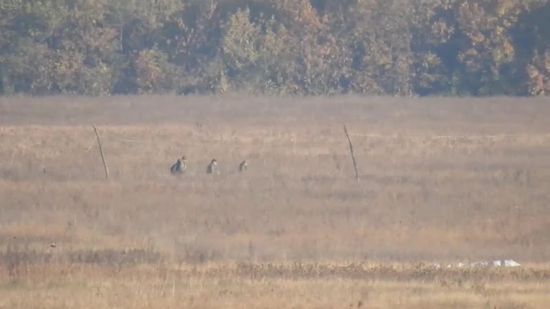 Уничтожение снайпером бойцов украинской армии