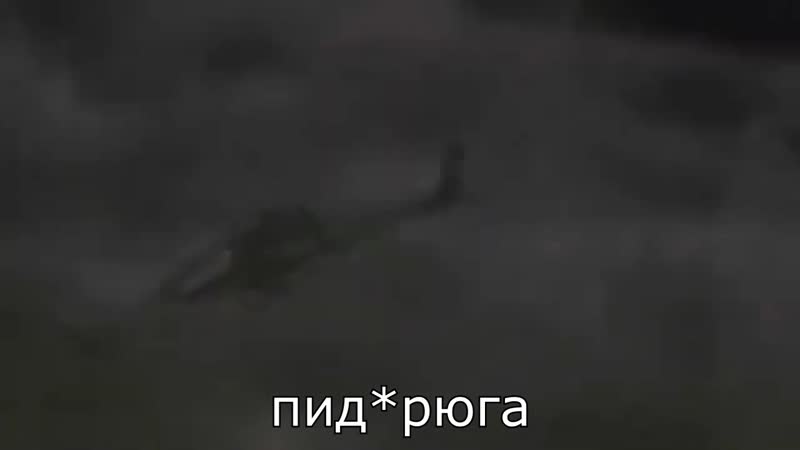 Пидарюга! | для вп | anomalocaris и emerald weapon