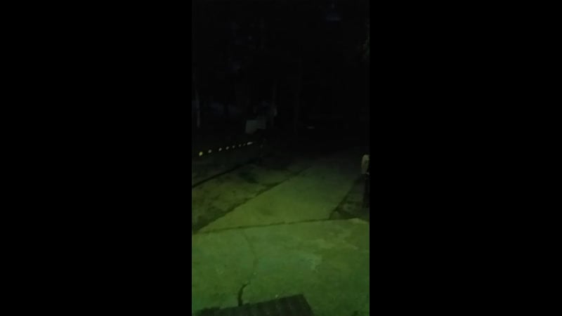 Опять шумят