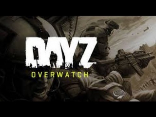 Маленько поиграл в dayz overwatch