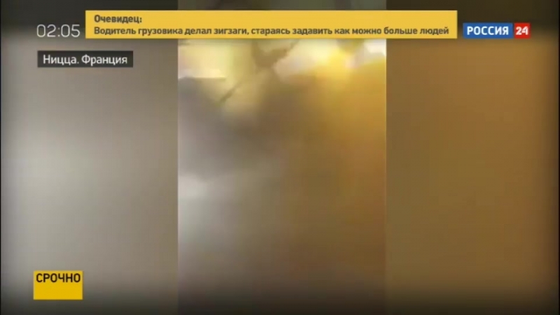 Бойня в день взятия бастилии грузовик целенаправленно давил людей