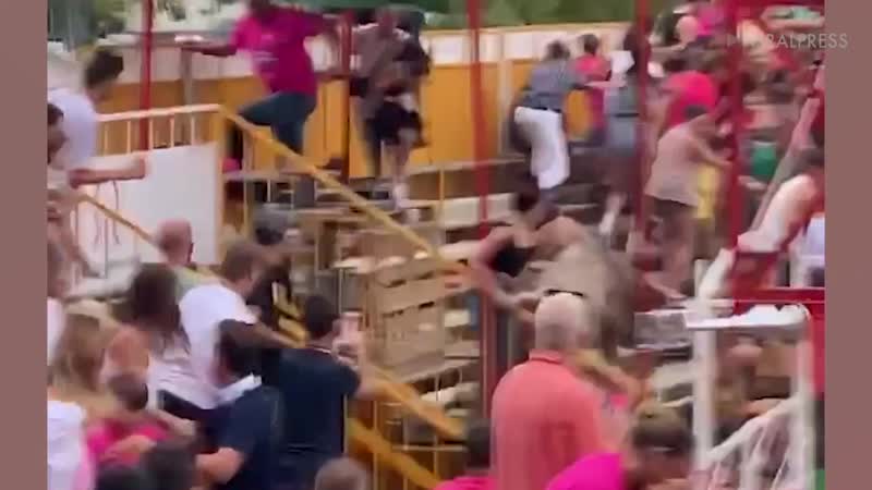 Бычара