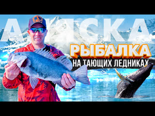 Огромный улов касатки, морские львы и тающие ледники рыбалка на аляске