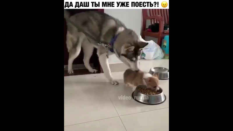 Милоты пост