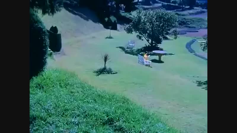 Kishore kumar pal pal dil ke paas