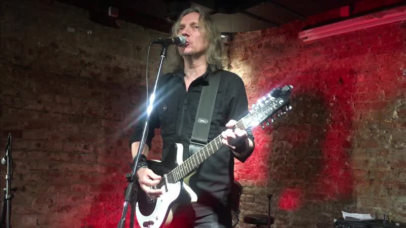 Вадим курылёв || малиноа летит на север