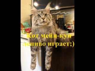 Эрнест леонард silver lynx