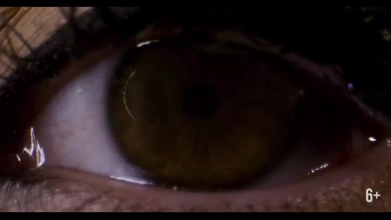 Премьера клипа нюша дыши люби цени