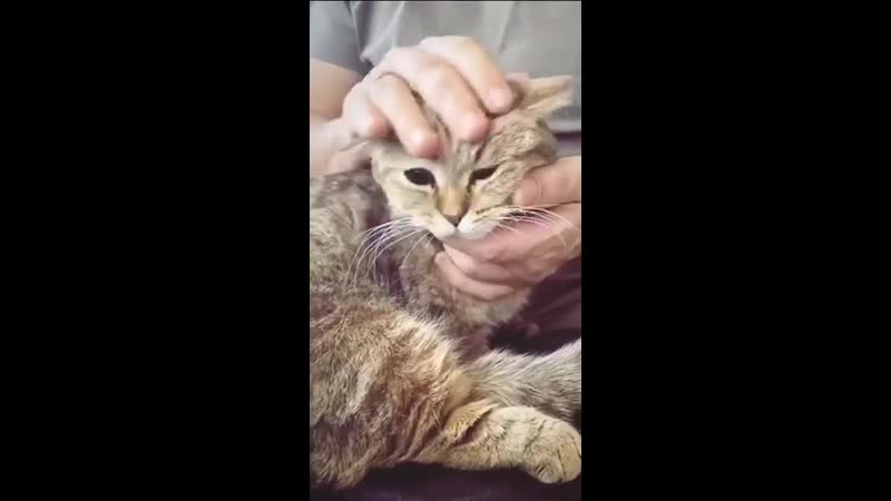 Пятничные поглаживания киски шнуром