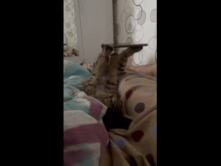 Хм, классная подстаа 😅