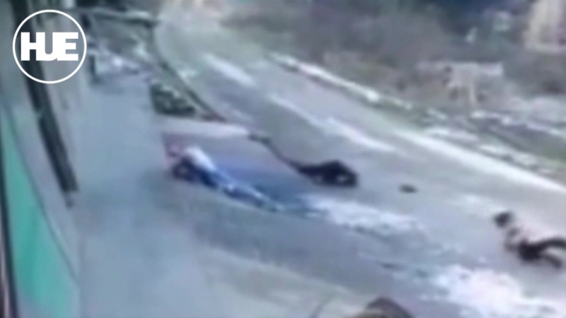 В китае сняли на видео кабана убийцу