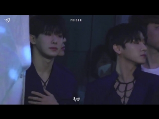 [180408] monsta x (wonho focus) @ geumcheon harmony cherry blossom festival