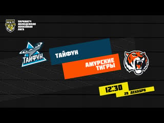 Live! париматч мхл «тайфун» «амурские тигры» ( – 1230)