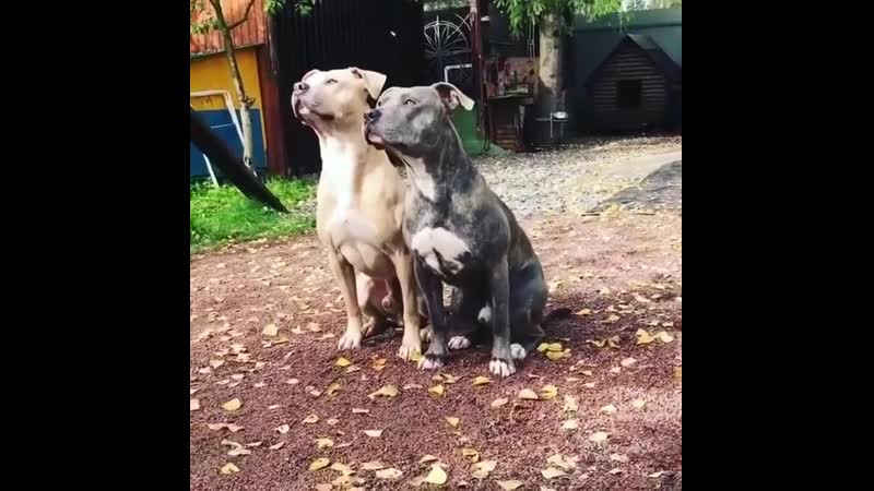 Обучил и закрепил