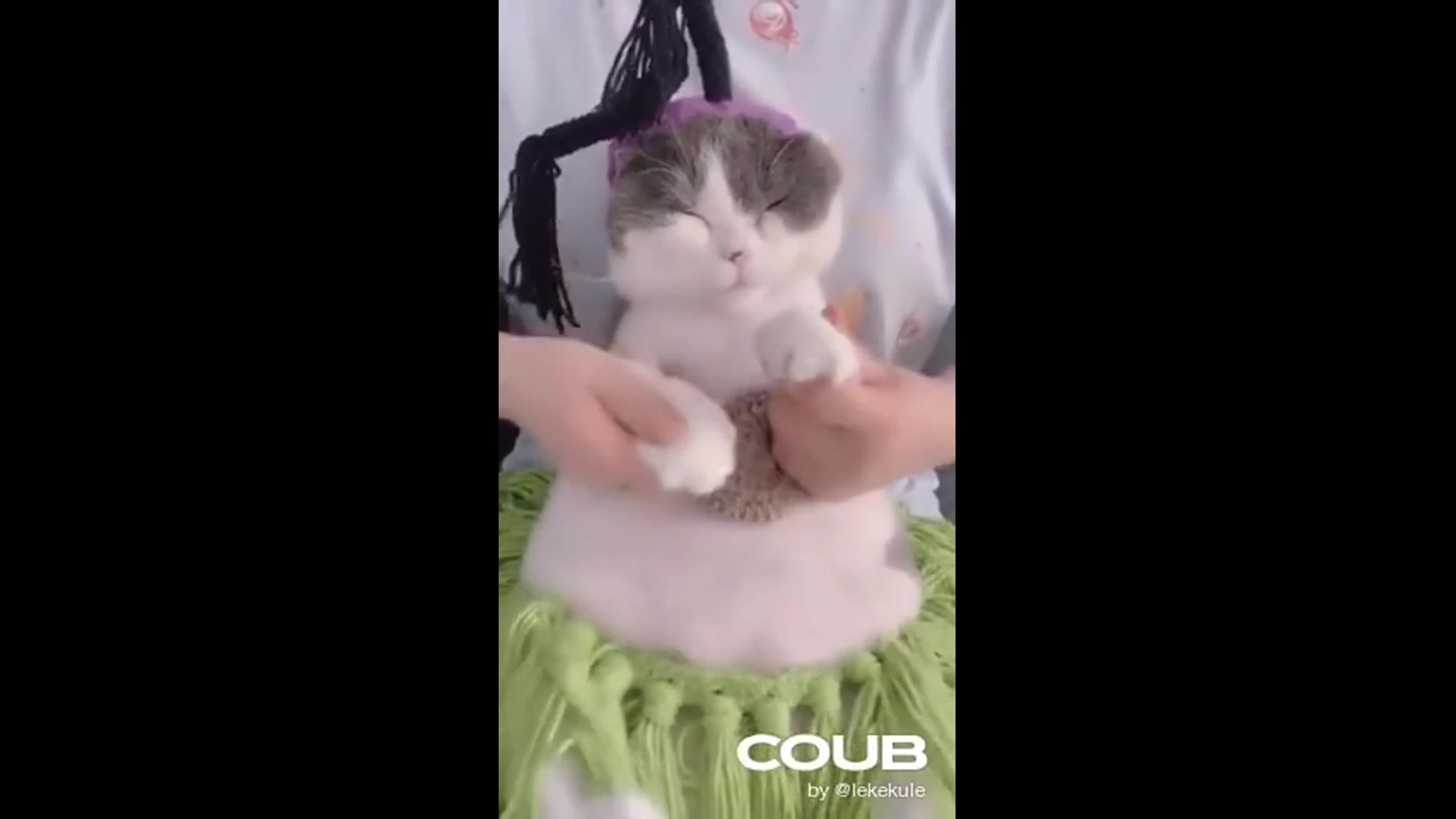 Masturbating iraq girls bokeptube exclusive