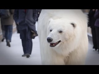 Polar bear roams london [sky atlantic, fortitude]
